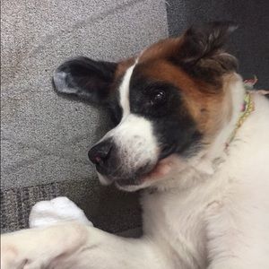 Meet your Posher, Aidan